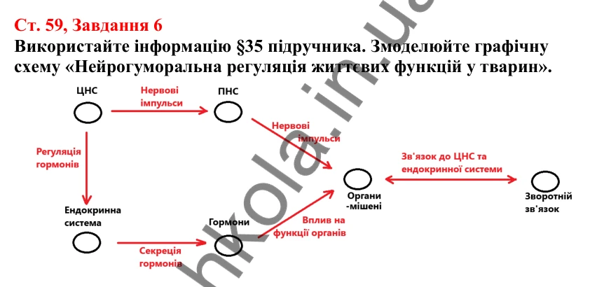 Відповідь до завдання 6 (с. 59) з біології для 7 класу (Кулініч, 2024, робочий зошит): Органи та системи органів. Регуляція життєвих функцій