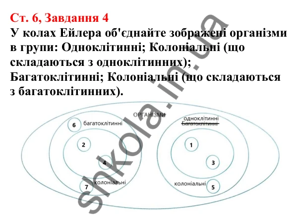 Відповідь до завдання 4 (с. 6) з біології для 7 класу (Кулініч, 2024, робочий зошит): Що таке клітина та як її вивчають