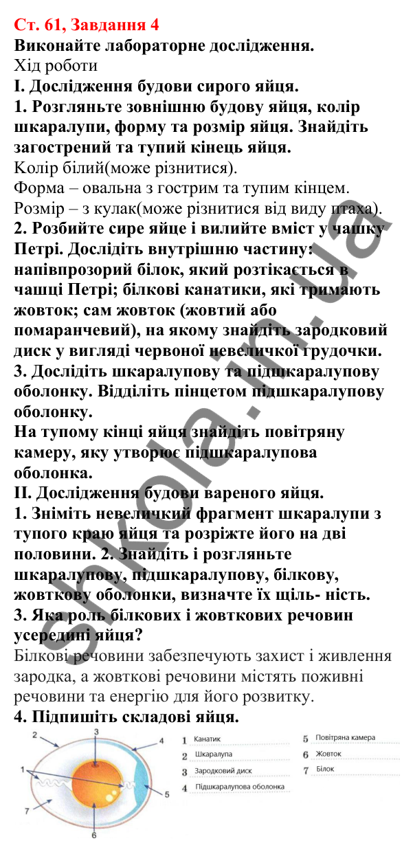 Відповідь до завдання 4 (с. 61) з біології для 7 класу (Кулініч, 2024, робочий зошит): Розвиток тварин