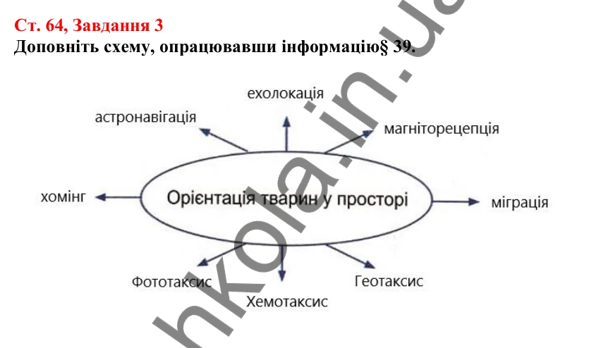 Відповідь до завдання 3 (с. 64) з біології для 7 класу (Кулініч, 2024, робочий зошит): Які є способи комунікації тварин. Міграції