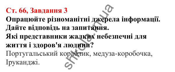 Відповідь до завдання 3 (с. 66) з біології для 7 класу (Кулініч, 2024, робочий зошит): Жалкі - двошарові тварини