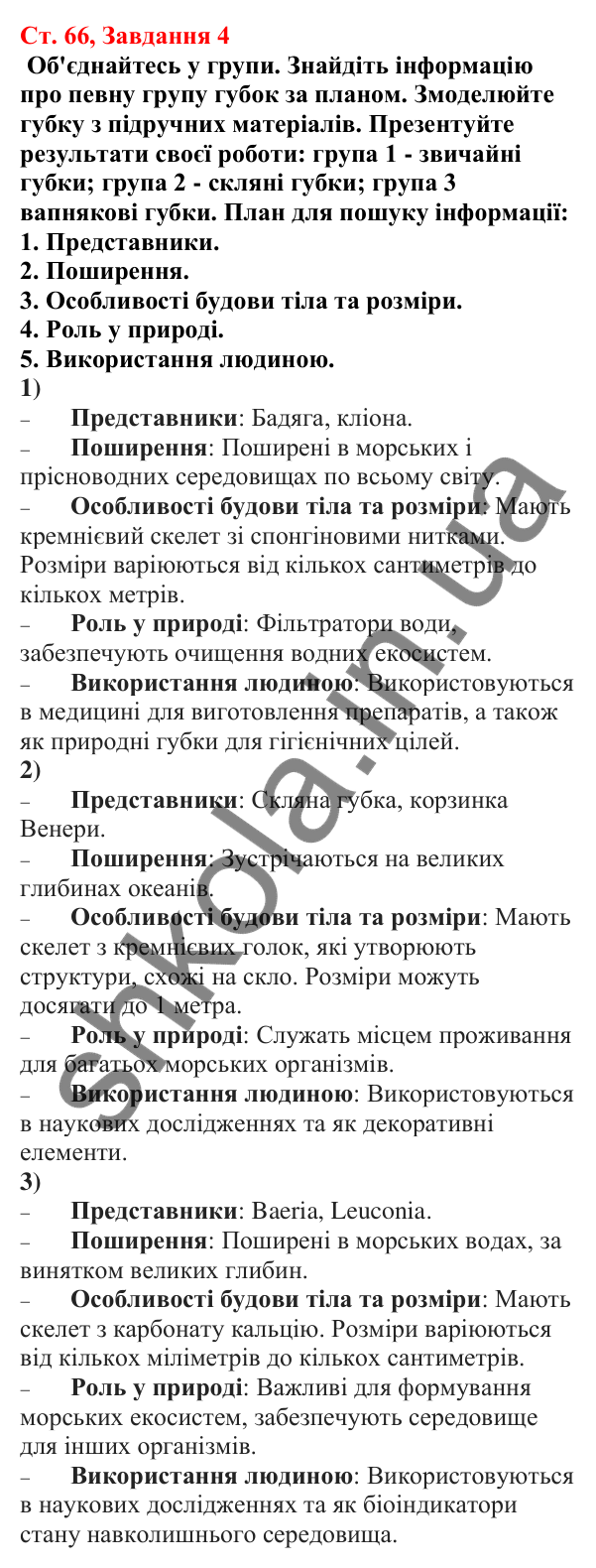 Відповідь до завдання 4 (с. 66) з біології для 7 класу (Кулініч, 2024, робочий зошит): Губки