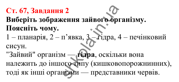 Відповідь до завдання 2 (с. 67) з біології для 7 класу (Кулініч, 2024, робочий зошит): Плоскі черви