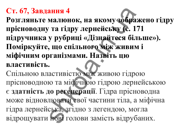 Відповідь до завдання 4 (с. 67) з біології для 7 класу (Кулініч, 2024, робочий зошит): Жалкі - двошарові тварини