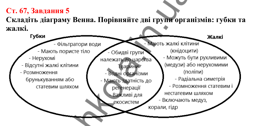 Відповідь до завдання 5 (с. 67) з біології для 7 класу (Кулініч, 2024, робочий зошит): Жалкі - двошарові тварини