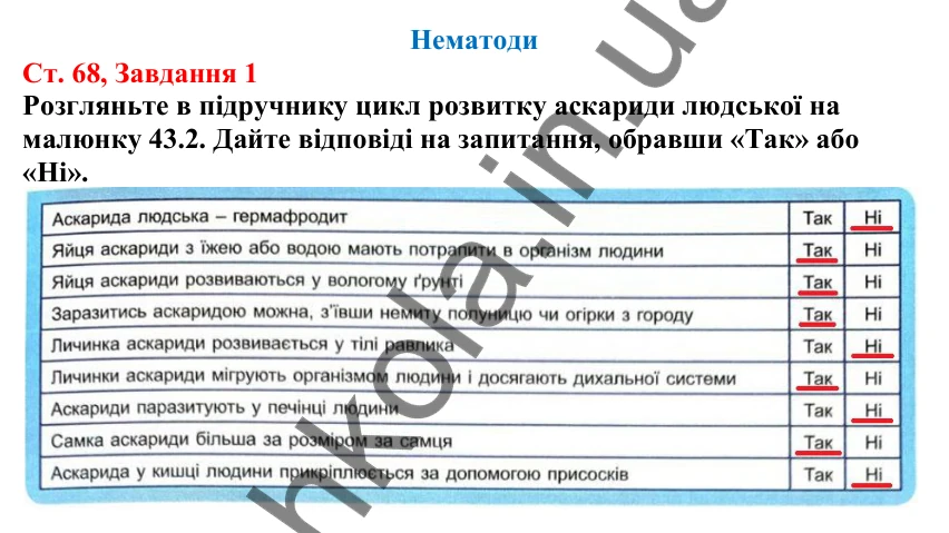 Відповідь до завдання 1 (с. 68) з біології для 7 класу (Кулініч, 2024, робочий зошит): Нематоди