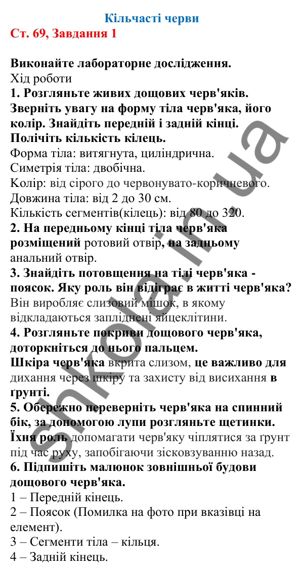 Відповідь до завдання 1 (с. 69) з біології для 7 класу (Кулініч, 2024, робочий зошит): Кільчасті черви