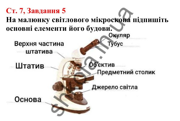 Відповідь до завдання 5 (с. 7) з біології для 7 класу (Кулініч, 2024, робочий зошит): Що таке клітина та як її вивчають
