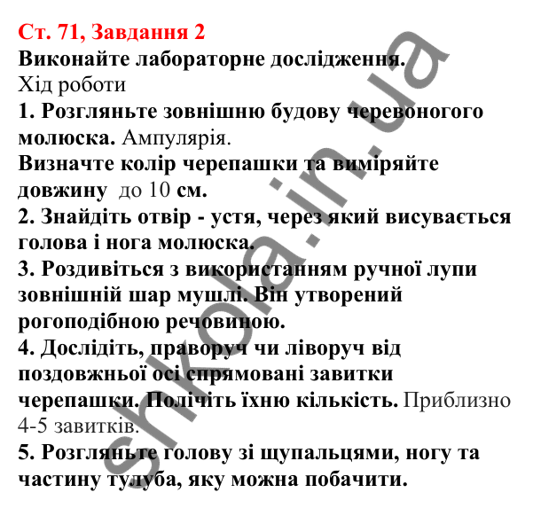 Відповідь до завдання 2 (с. 71) з біології для 7 класу (Кулініч, 2024, робочий зошит): Молюски
