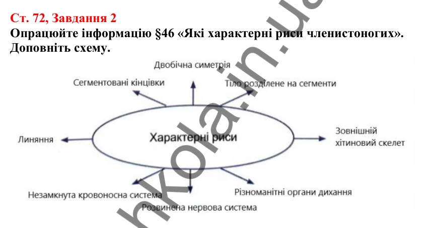 Відповідь до завдання 2 (с. 72) з біології для 7 класу (Кулініч, 2024, робочий зошит): Членистоногі безхребетні тварини із зовнішнім скелетом. Ракоподібні