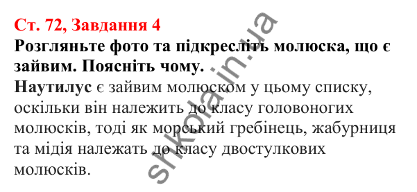 Відповідь до завдання 4 (с. 72) з біології для 7 класу (Кулініч, 2024, робочий зошит): Молюски