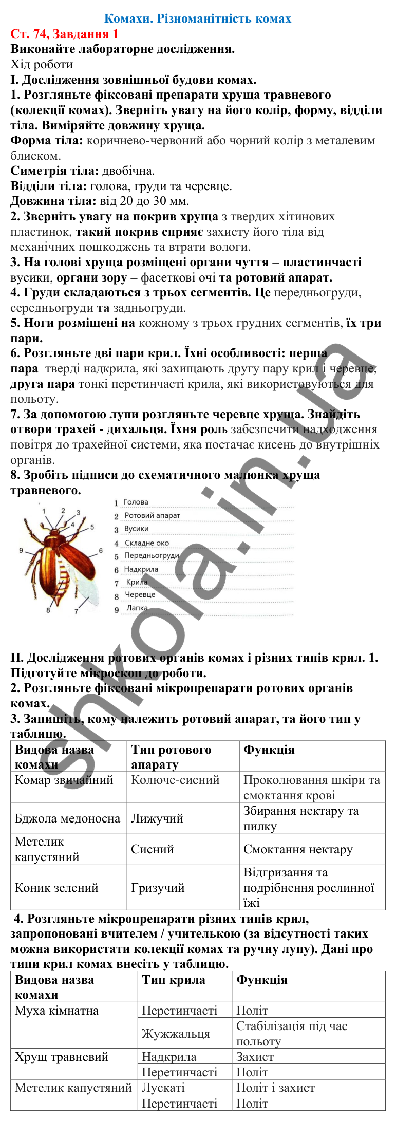 Відповідь до завдання 1 (с. 74) з біології для 7 класу (Кулініч, 2024, робочий зошит): Комахи. Різноманітність комах