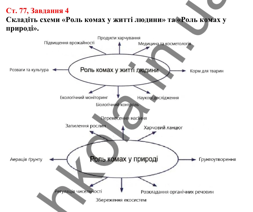 Відповідь до завдання 4 (с. 77) з біології для 7 класу (Кулініч, 2024, робочий зошит): Роль комах у природі та житті людини