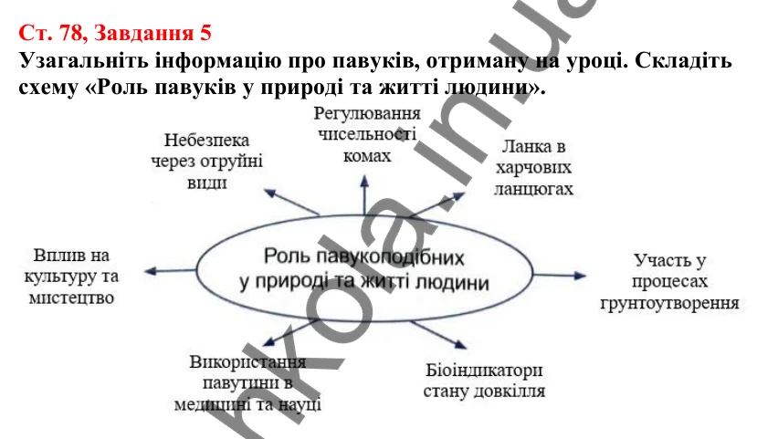 Відповідь до завдання 5 (с. 78) з біології для 7 класу (Кулініч, 2024, робочий зошит): Павукоподібні