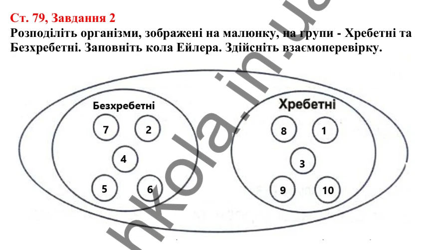 Відповідь до завдання 2 (с. 79) з біології для 7 класу (Кулініч, 2024, робочий зошит): Хордові тварини. Головохордові
