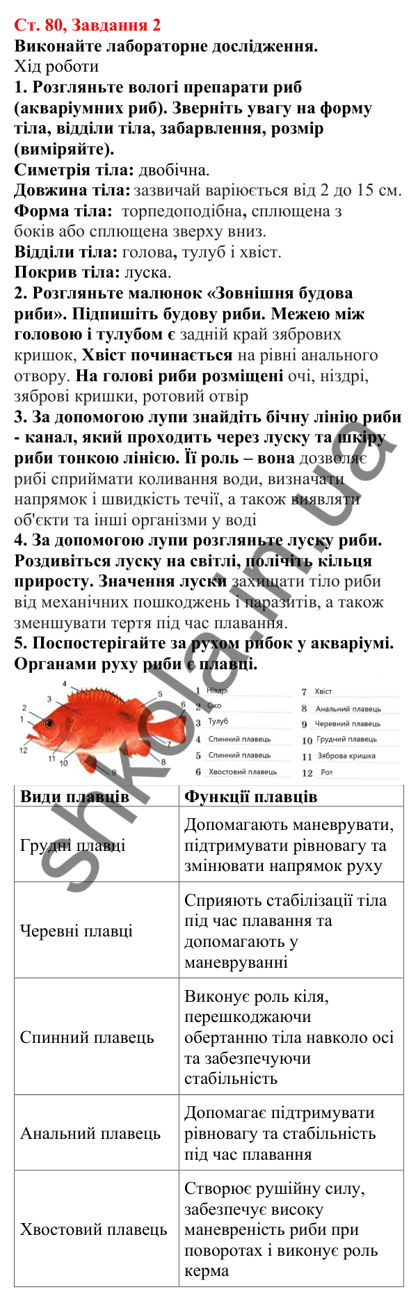 Відповідь до завдання 2 (с. 80) з біології для 7 класу (Кулініч, 2024, робочий зошит): Риби