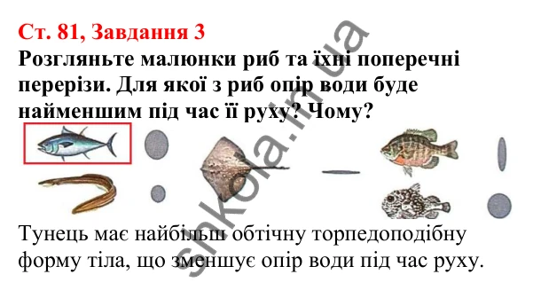 Відповідь до завдання 3 (с. 81) з біології для 7 класу (Кулініч, 2024, робочий зошит): Риби