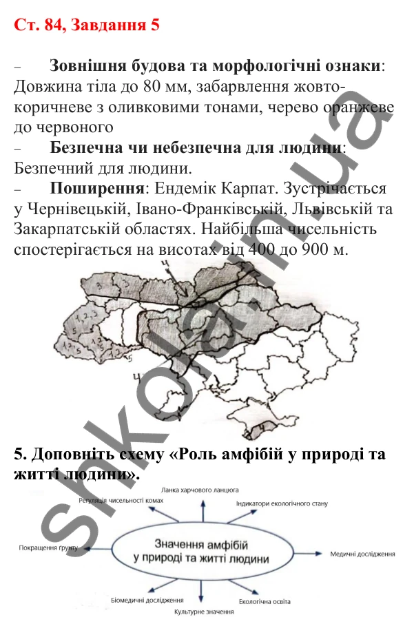 Відповідь до завдання 5 (с. 84) з біології для 7 класу (Кулініч, 2024, робочий зошит): Амфібії