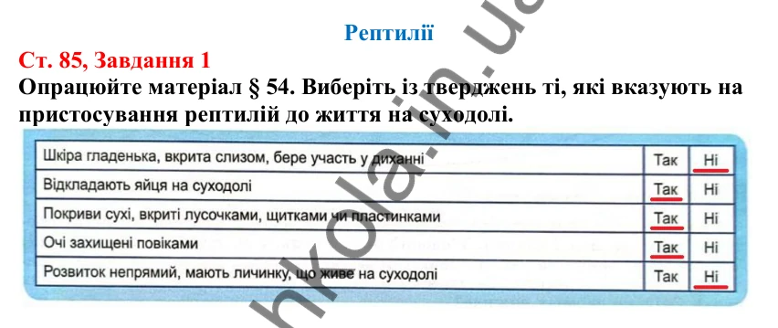 Відповідь до завдання 1 (с. 85) з біології для 7 класу (Кулініч, 2024, робочий зошит): Рептилії