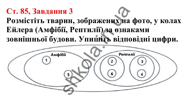 Відповідь до завдання 3 (с. 85) з біології для 7 класу (Кулініч, 2024, робочий зошит): Рептилії