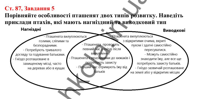 Відповідь до завдання 5 (с. 87) з біології для 7 класу (Кулініч, 2024, робочий зошит): Птахи: риси пристосованості до польоту