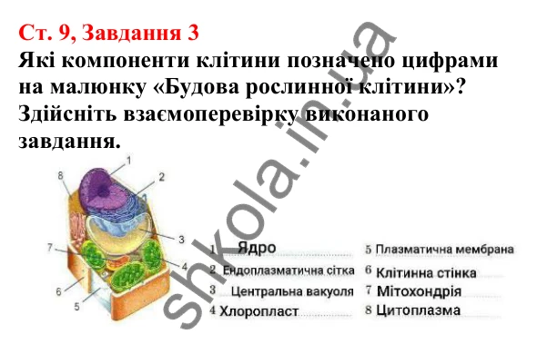 Відповідь до завдання 3 (с. 9) з біології для 7 класу (Кулініч, 2024, робочий зошит): Які особливості будови клітин евкаріотів