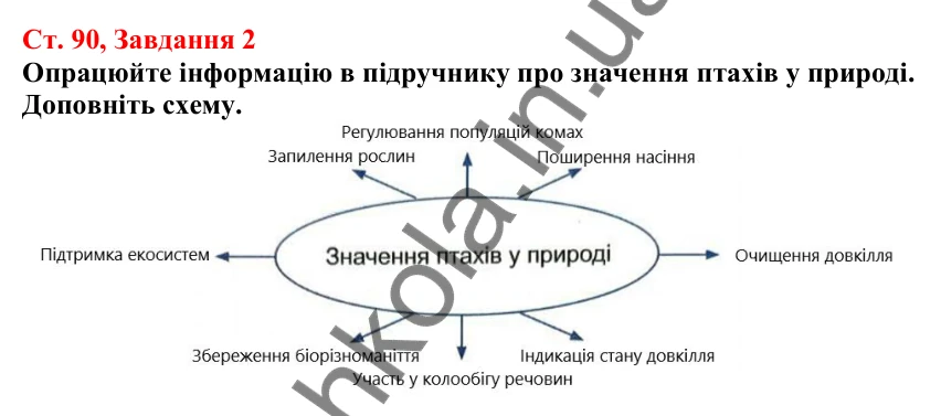 Відповідь до завдання 2 (с. 90) з біології для 7 класу (Кулініч, 2024, робочий зошит): Безкільові птахи. Роль птахів у природі та житті людини