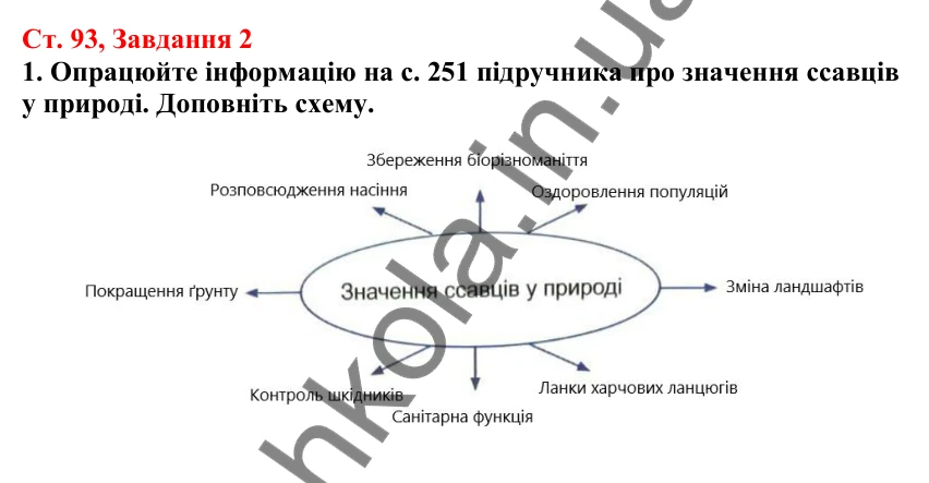 Відповідь до завдання 2 (с. 93) з біології для 7 класу (Кулініч, 2024, робочий зошит): Роль ссавців у природі та житті людини. Охорона ссавців