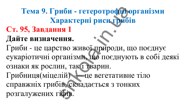 Відповідь до завдання 1 (с. 95) з біології для 7 класу (Кулініч, 2024, робочий зошит): Характерні риси грибів