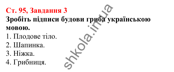 Відповідь до завдання 3 (с. 95) з біології для 7 класу (Кулініч, 2024, робочий зошит): Характерні риси грибів