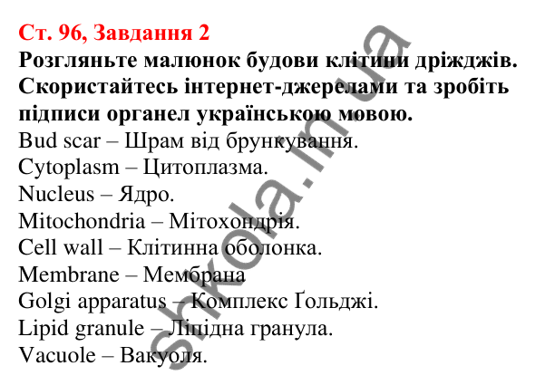 Відповідь до завдання 2 (с. 96) з біології для 7 класу (Кулініч, 2024, робочий зошит): Різноманітність грибів. Дріжджі. Цвілеві гриби