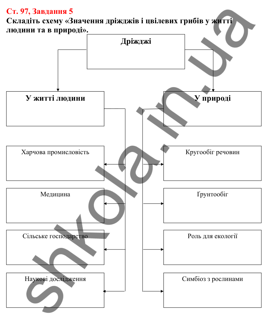 Відповідь до завдання 5 (с. 97) з біології для 7 класу (Кулініч, 2024, робочий зошит): Різноманітність грибів. Дріжджі. Цвілеві гриби