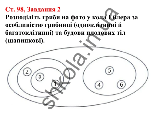 Відповідь до завдання 2 (с. 98) з біології для 7 класу (Кулініч, 2024, робочий зошит): Шапинкові гриби. Які шапинкові гриби їстівні, а які – отруйні