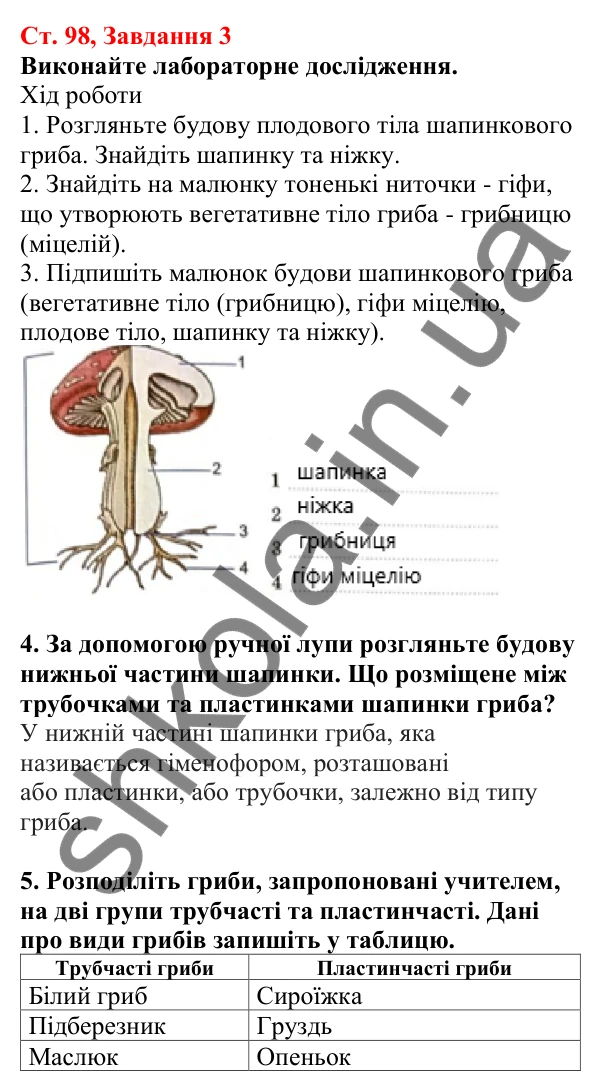 Відповідь до завдання 3 (с. 98) з біології для 7 класу (Кулініч, 2024, робочий зошит): Шапинкові гриби. Які шапинкові гриби їстівні, а які – отруйні