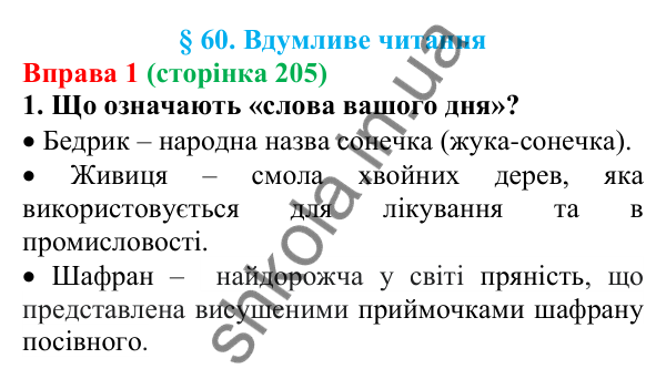 Відповідь до вправи 1 (с. 205) з української мови для 7 класу (Голуб, 2024): Вдумливе читання