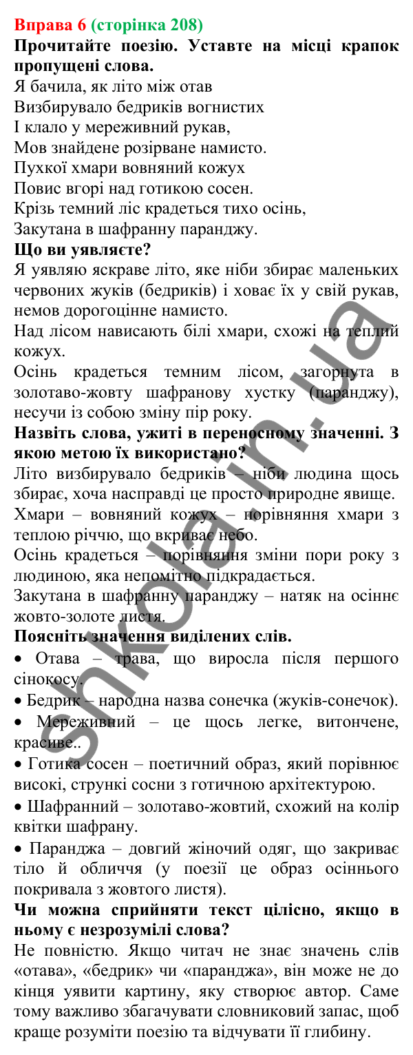 Відповідь до вправи 6 (с. 208) з української мови для 7 класу (Голуб, 2024): Вдумливе читання