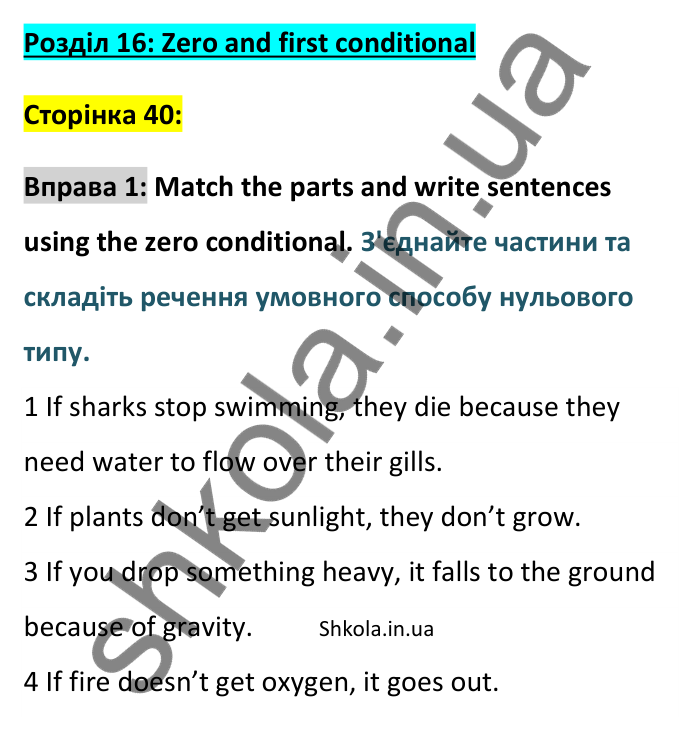 Відповідь до вправи 1, Unit 16 (Zero and first conditional), сторінка 40 - ГДЗ Англійська мова 8 клас Хейдерман 2025. Prepare 8 Grammar