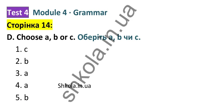 Відповідь до завдання D (Grammar), сторінка 14 - ГДЗ Англійська мова 8 клас Мітчелл 2025 тести. Full Blast Plus 8 Test Booklet