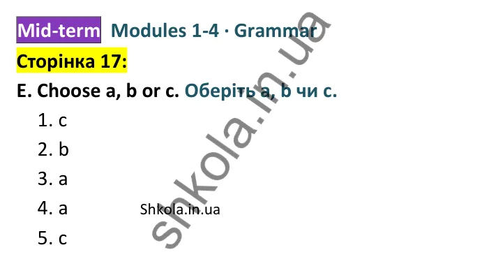 Відповідь до завдання E (Grammar), сторінка 17 - ГДЗ Англійська мова 8 клас Мітчелл 2025 тести. Full Blast Plus 8 Test Booklet