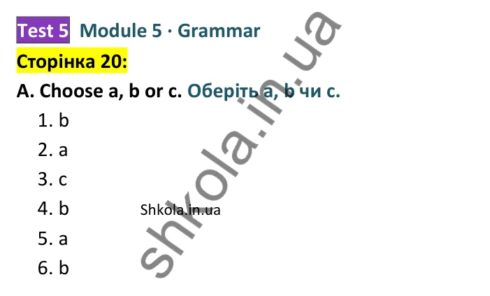 Відповідь до завдання A (Grammar), сторінка 20 - ГДЗ Англійська мова 8 клас Мітчелл 2025 тести. Full Blast Plus 8 Test Booklet