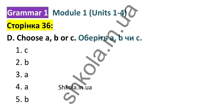 Відповідь до завдання D, сторінка 36 - ГДЗ Англійська мова 8 клас Мітчелл 2025 тести. Full Blast Plus 8 Test Booklet