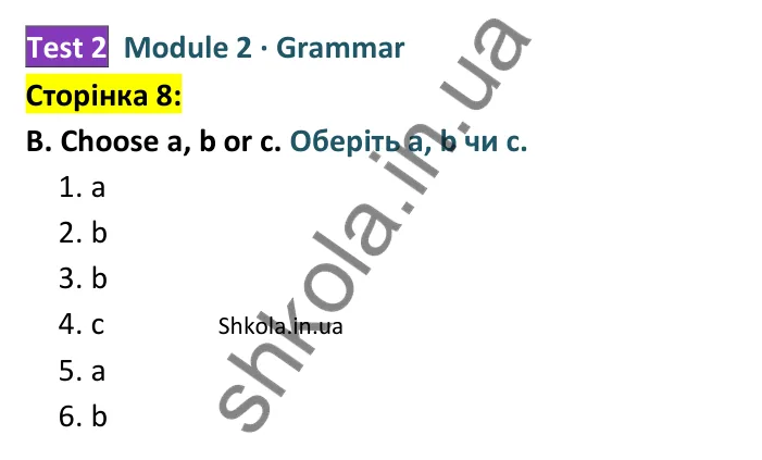 Відповідь до завдання B (Grammar), сторінка 8 - ГДЗ Англійська мова 8 клас Мітчелл 2025 тести. Full Blast Plus 8 Test Booklet