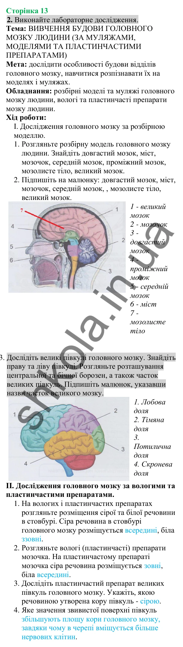 Відповідь до завдання 2 (с. 13) з біології для 8 класу (Кулініч, 2025): Головний мозок людини