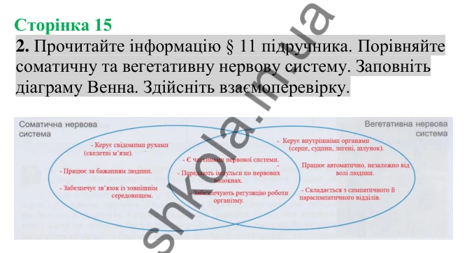 Відповідь до завдання 2 (с. 15) з біології для 8 класу (Кулініч, 2025): Соматична та вегетативна нервова система