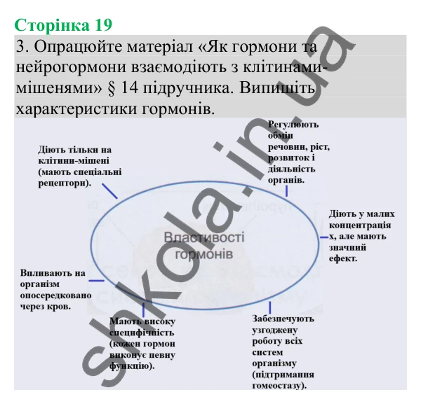 Відповідь до завдання 3 (с. 19) з біології для 8 класу (Кулініч, 2025): Гуморальна регуляція діяльності організму