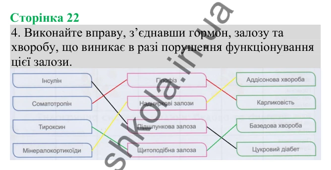 Відповідь до завдання 4 (с. 22) з біології для 8 класу (Кулініч, 2025): Залози змішаної секреції