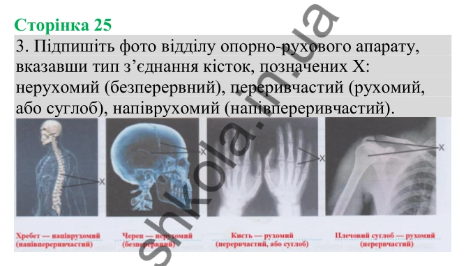 Відповідь до завдання 3 (с. 25) з біології для 8 класу (Кулініч, 2025): Типи кісток. З’єднання кісток