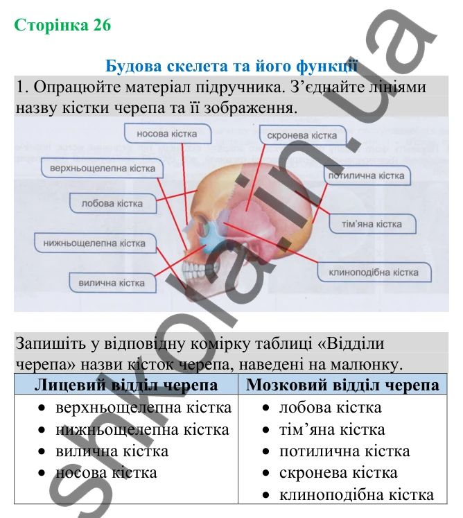 Відповідь до завдання 1 (с. 26) з біології для 8 класу (Кулініч, 2025): Будова скелета та його функції