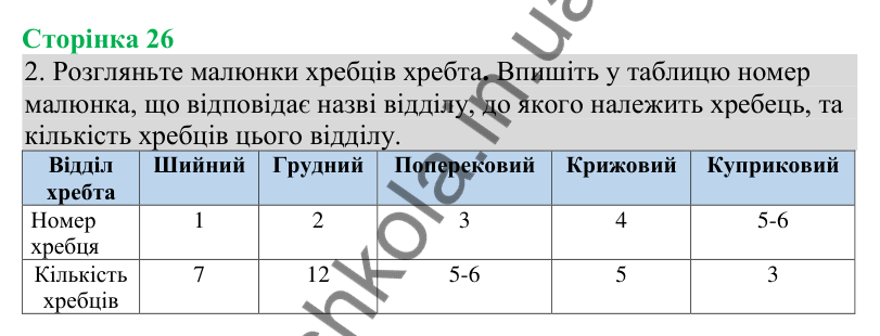 Відповідь до завдання 2 (с. 26) з біології для 8 класу (Кулініч, 2025): Будова скелета та його функції