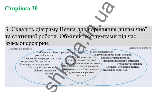 Відповідь до завдання 3 (с. 30) з біології для 8 класу (Кулініч, 2025): Будова та функції скелетних м’язів